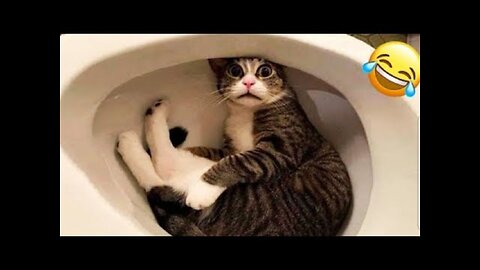 Funny Animal Videos 2023 😂| The best funny pet videos! #4