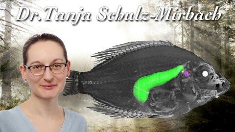 Hörende Fische - Dr. Tanja Schulz-Mirbach