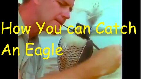 Eagle catching trick