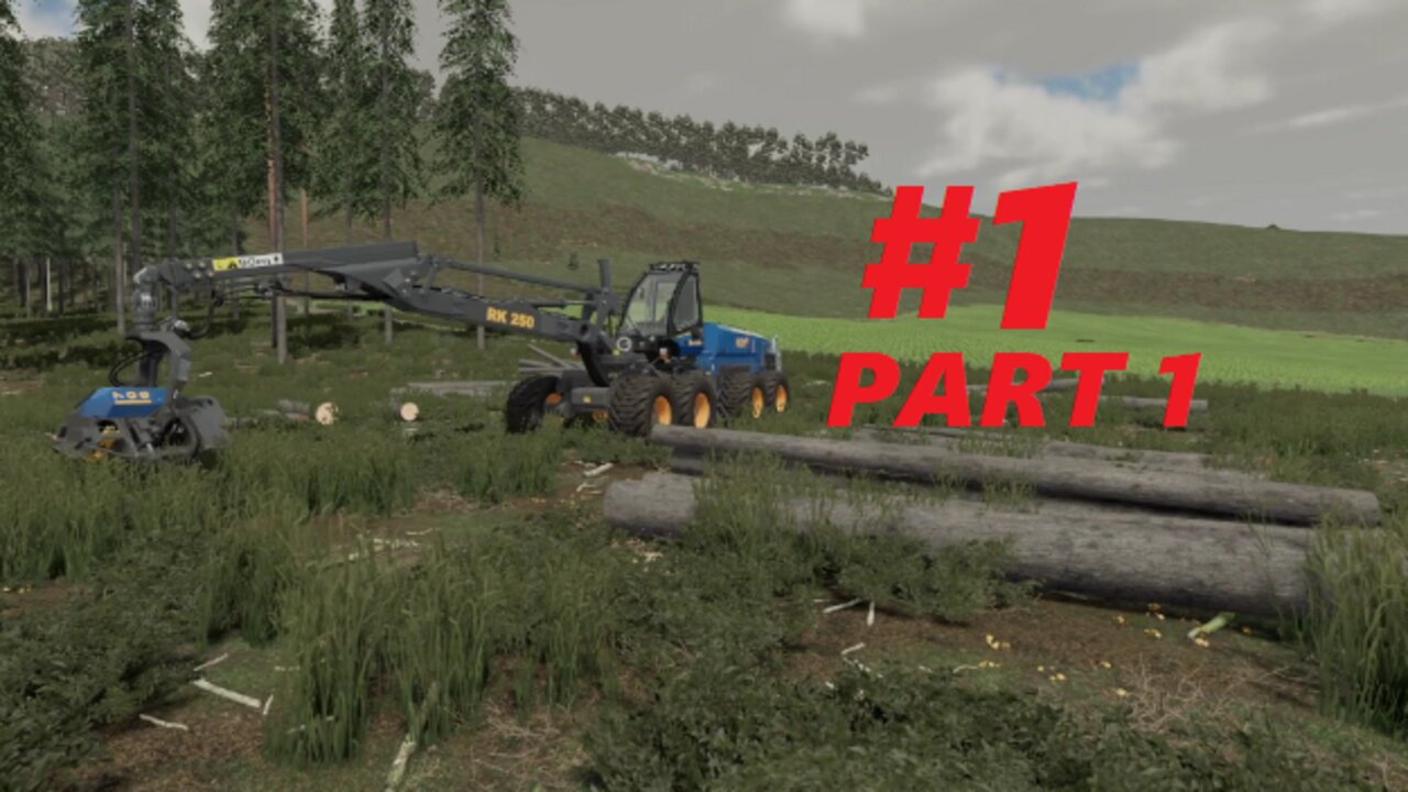 Rottne H21 Cutting spruce trees Holmåkra Sweden Fs 22 #1 Part 1