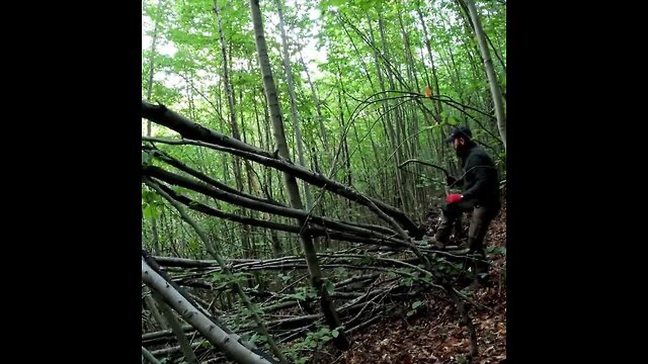 Build bushcraft shelter in the forest