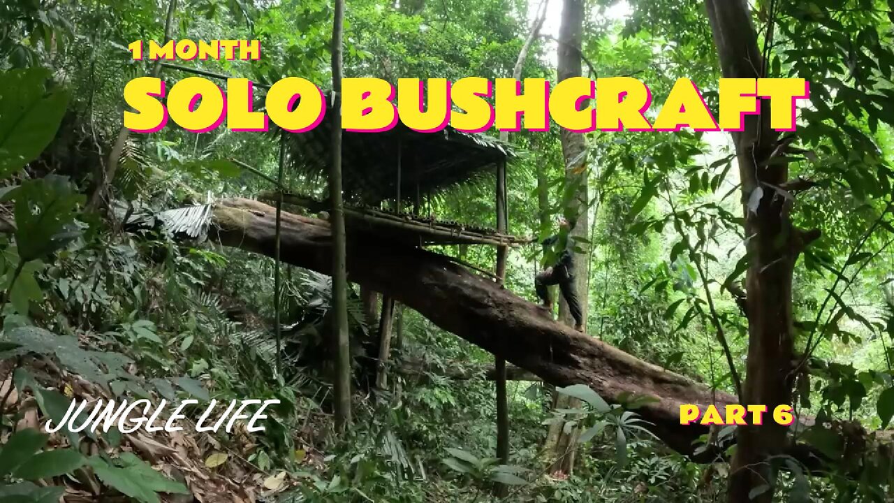 1 Month Solo Bushcraft. Build a box-shaped house on a tree. Survive in the Wild part 6