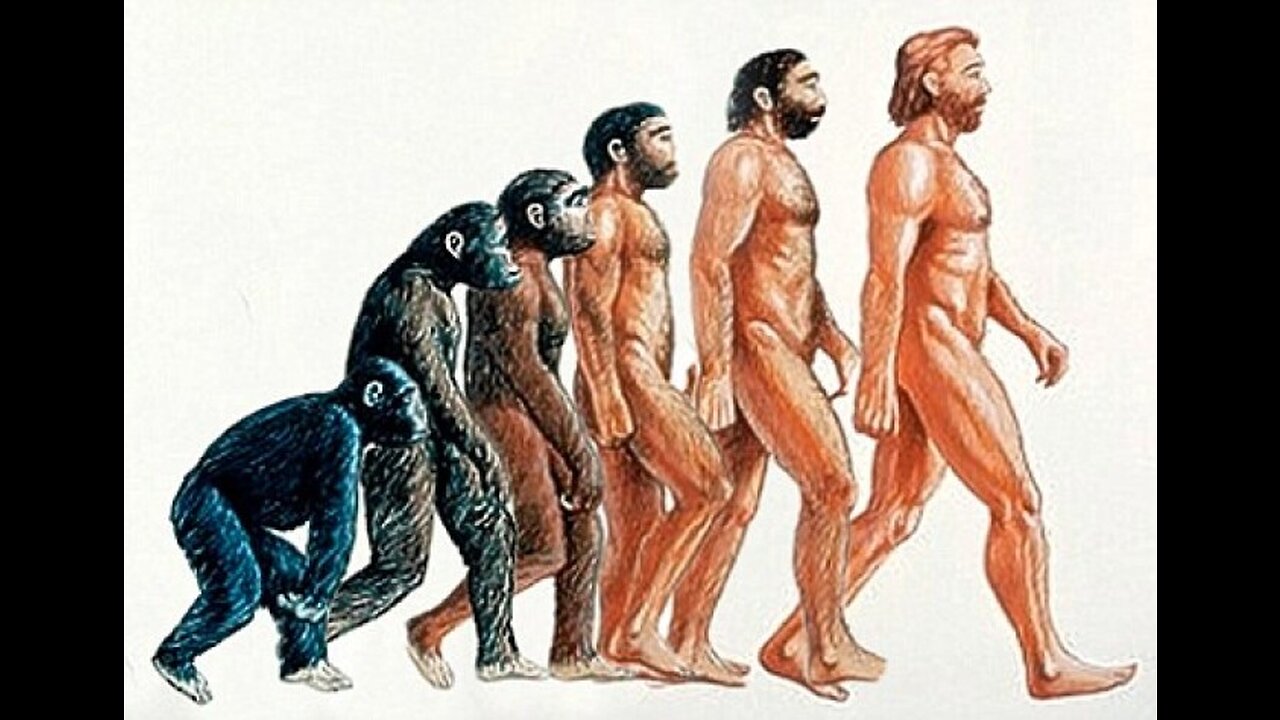Cum a Evoluat Omul? (Teoria Stiintifica)