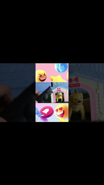 shorts cachorrinhos #3