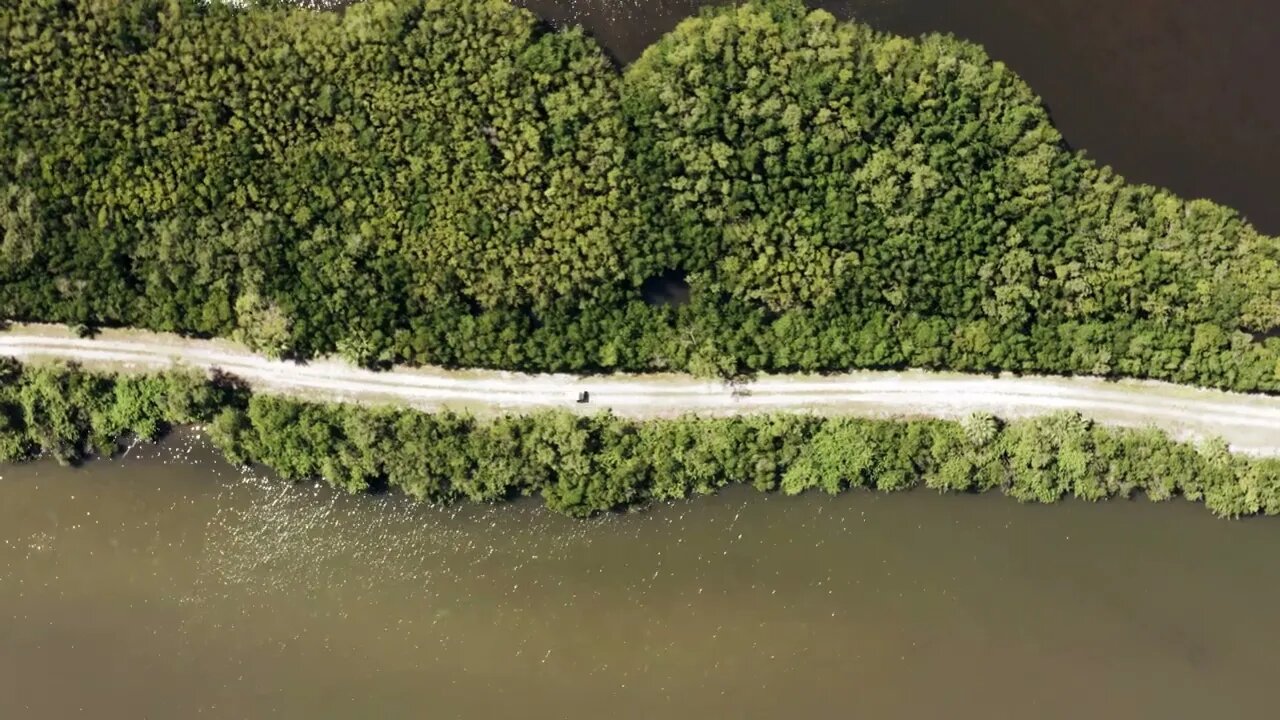 NO COPYRIGHT NATURE VIDEOS FREE NATURE VIDEOS #creativecommon #freestockvideo #footage