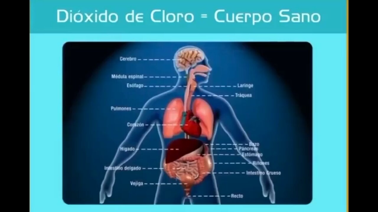 EXPLICACION DE COMO FUNCIONA EL DIOXIDO DE CLORO CUANDO ENTRA EN NUESTRO CUERPO