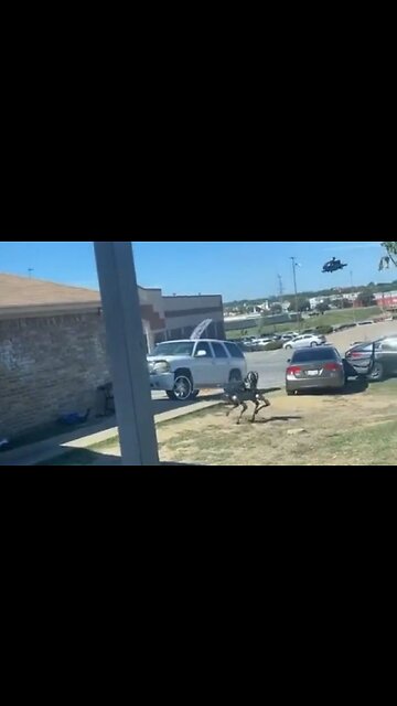 Creepy Arrest In Fort Worth Featured A Robot Dog And Drone