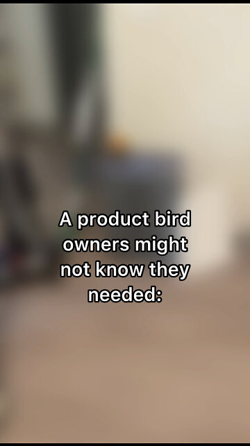 A must-have product for bird owners!