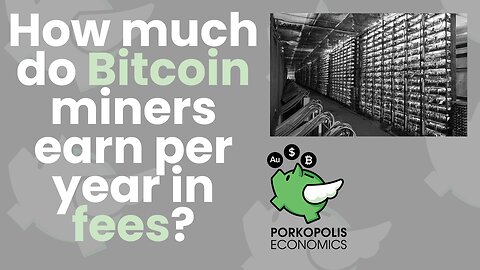 PE34: How much do Bitcoin miners earn per year in fees?