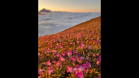 Pôr do sol luxuoso nas montanhas de Karachay-Cherkessia,Роскошный закат в горах Карачаево-Черкесии