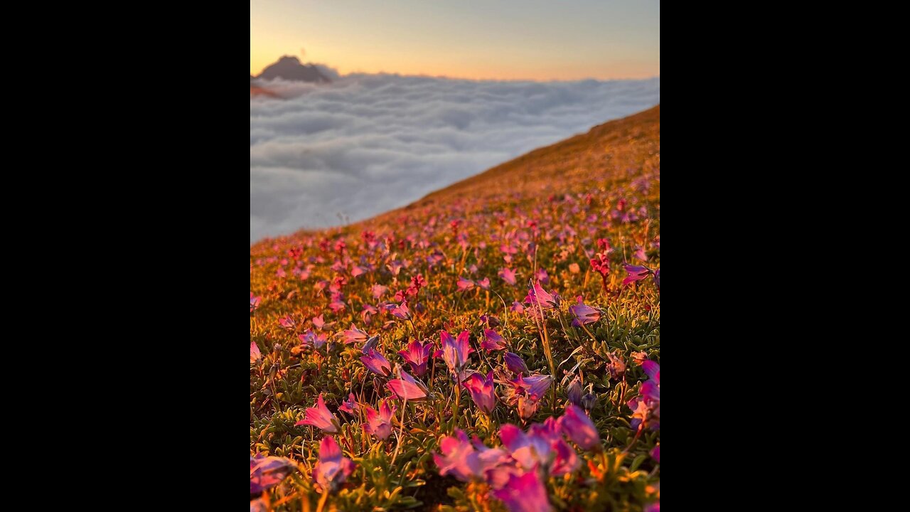 Pôr do sol luxuoso nas montanhas de Karachay-Cherkessia,Роскошный закат в горах Карачаево-Черкесии