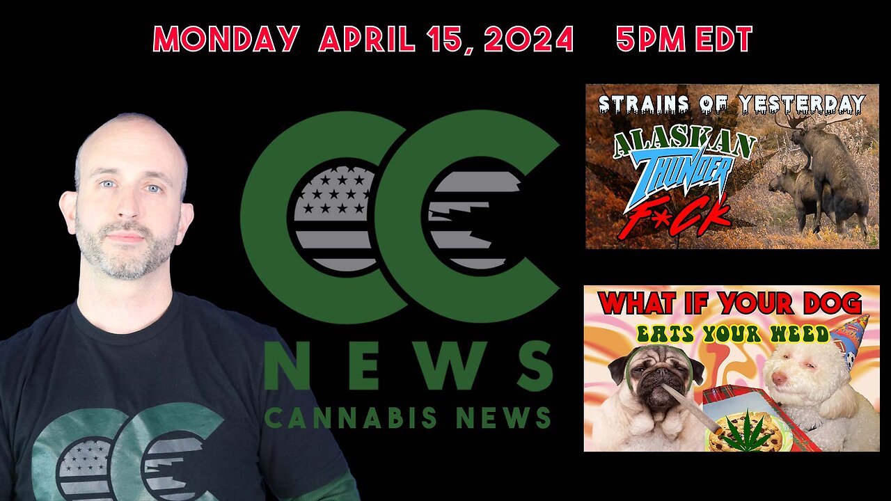 Cannabis News Update - "Strains of Yesterday: Alaskan Thunder F&*K" and "Dogs Eating Weed?"