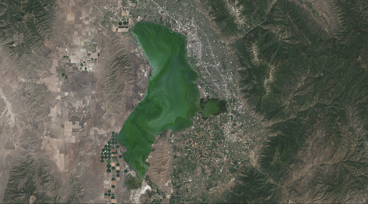 Landsat Helps Warn of Algae in Lakes, Rivers