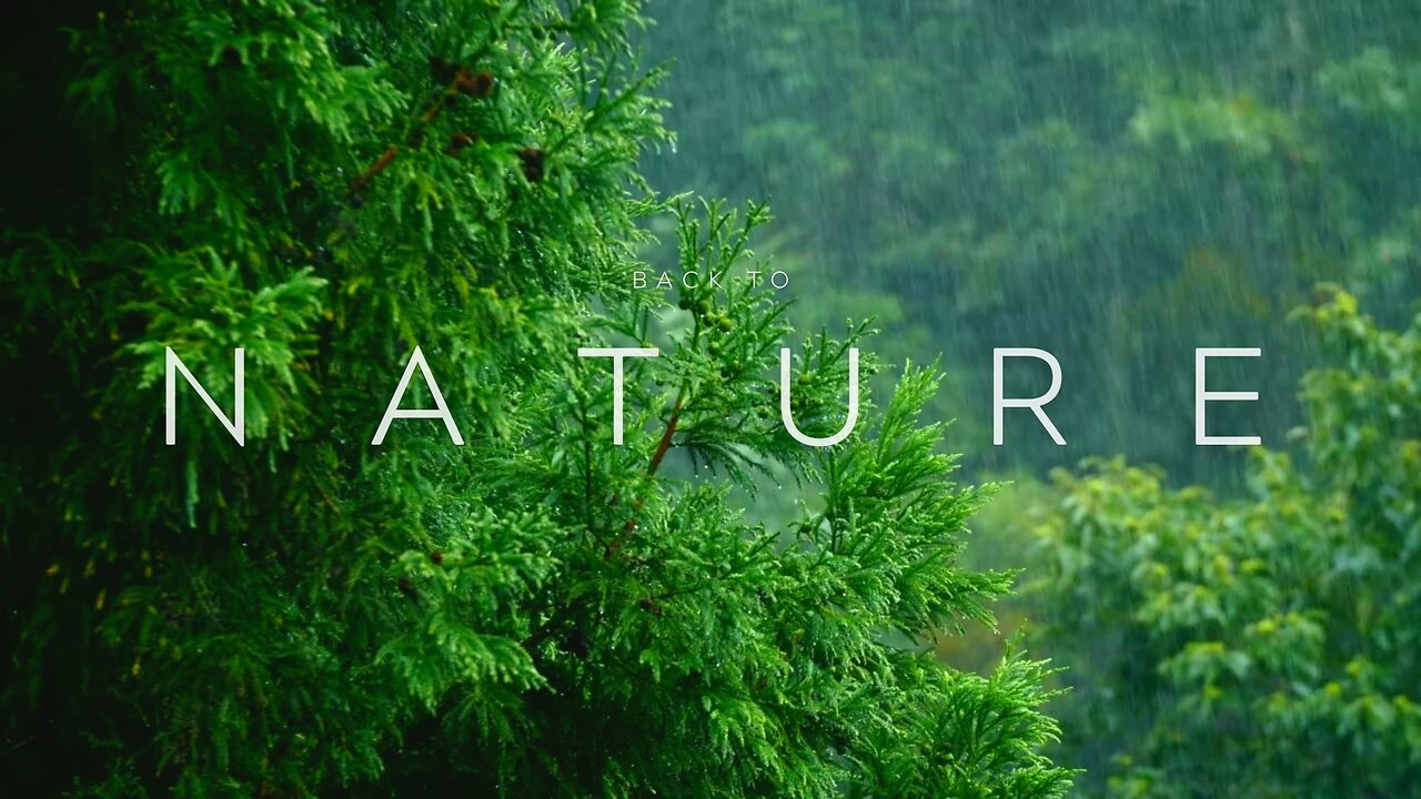 Rain Sounds for Relaxation Sleep and Meditation - 1 hour