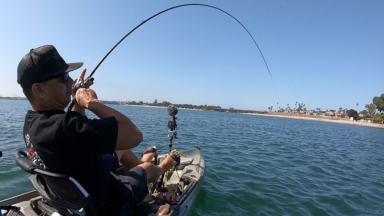 EPIC BAY FISHING WITH WARBAITS UNDERSPIN