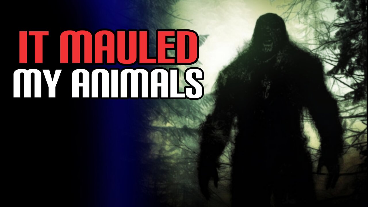 *BEWARE* It was Spotted In Illinois | 3 Scary True Cryptid Encounter Stories