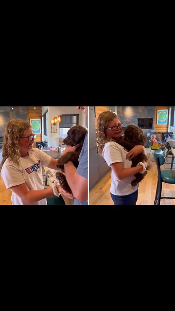 Girl In Tears After New Puppy Surprise