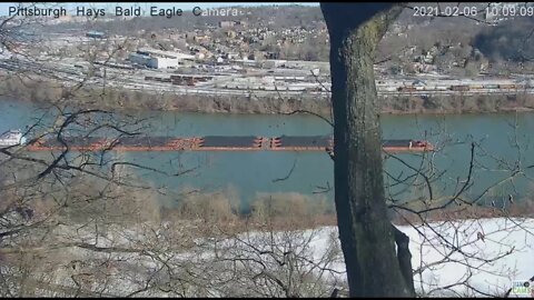 Hays Eagles Dad flys off the nest while a large tugboat/barge goes up the river 2021 02 06 10 08AM