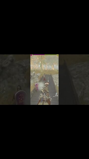 Mount & Blade 2 Bannerlord Mods TikTok Gaming PC Clips 2022 May June How to get 10000000 likes a day