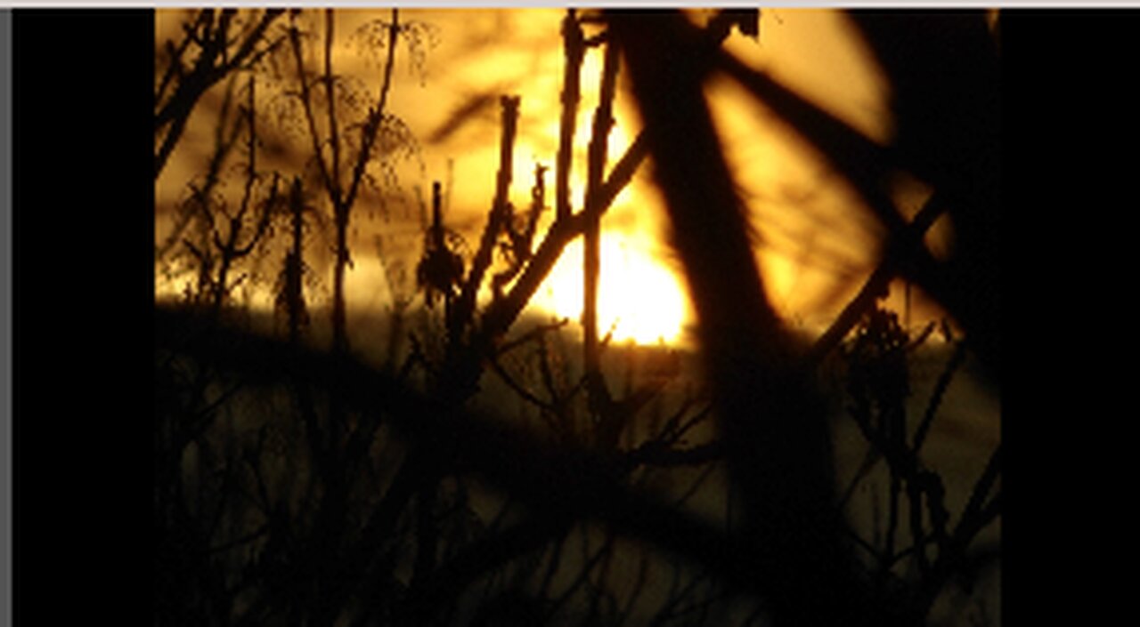 Golden Cloud & Sun Photo Selection