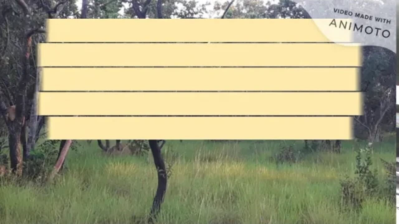 Fazenda a venda no tocantins 200 alq em São Valério TO com 70 alq com licença para abrir