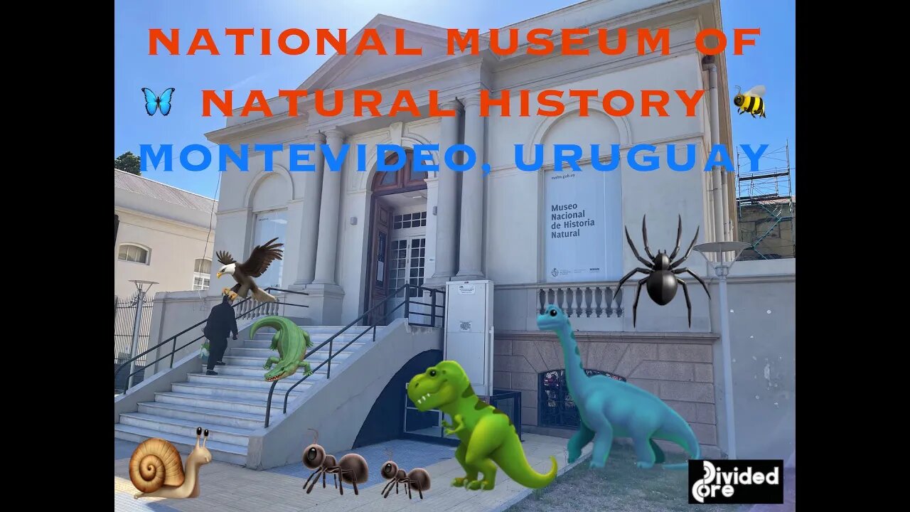 The National Museum of Natural History - Montevideo Uruguay