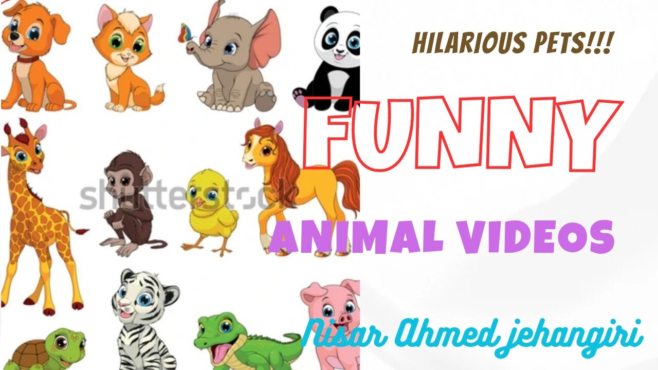 Funny animal Video, cute cat's