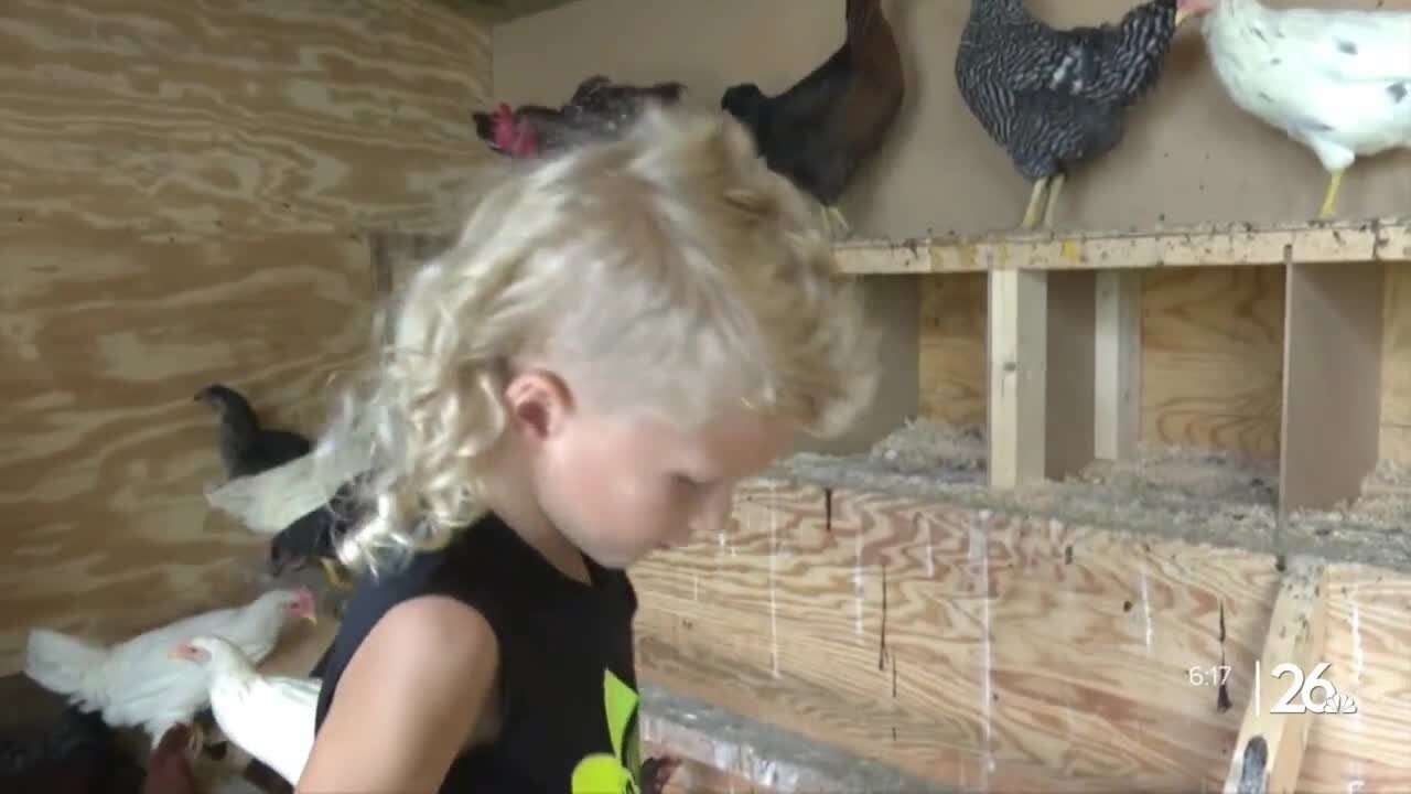 A boy in Brillion competes to be crowned the national mullet champion