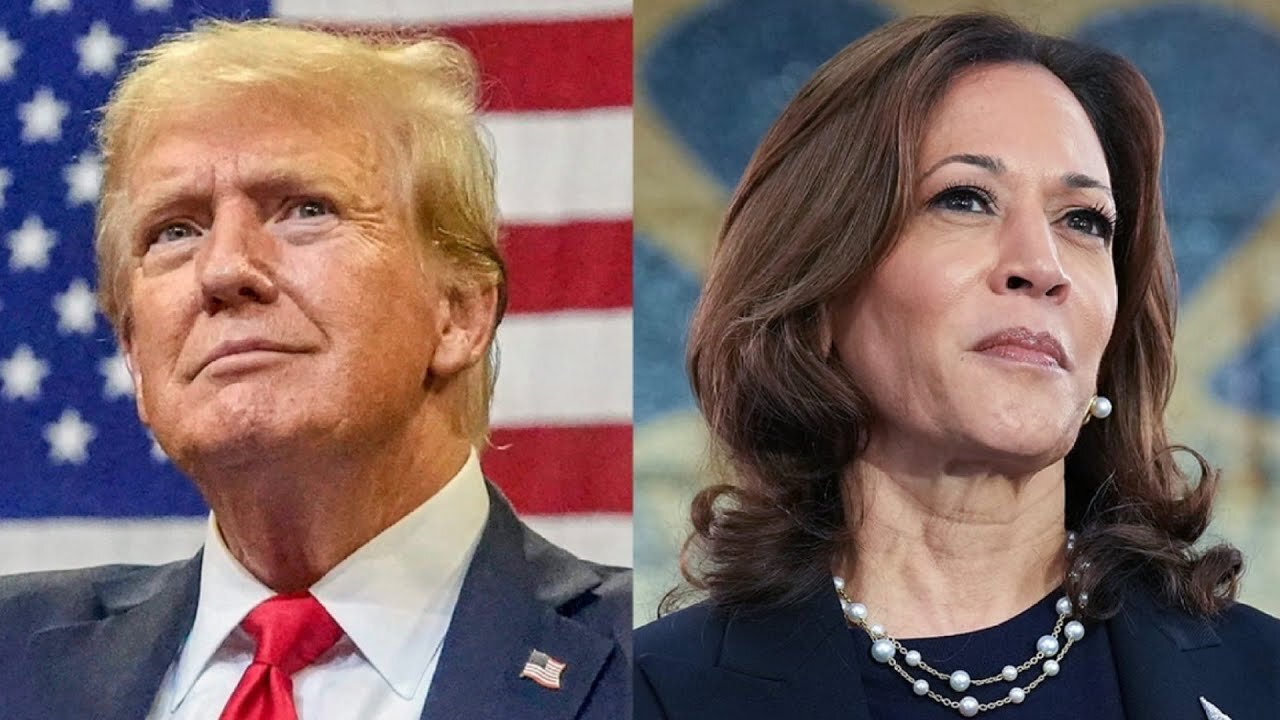 Who will win Georgia? 'True toss up' between Trump and Harris for the key battleground state