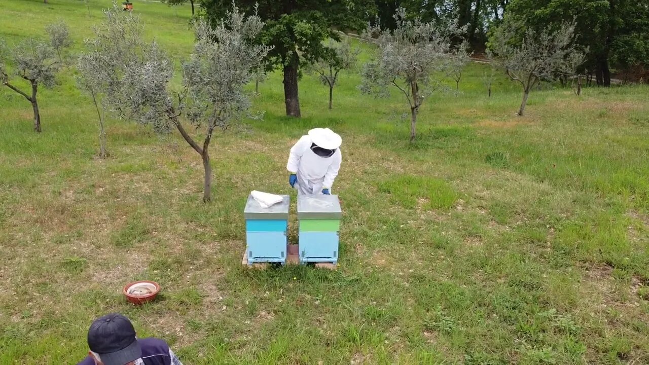 Visita alle api