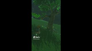 I Can Never Trust Trees Again