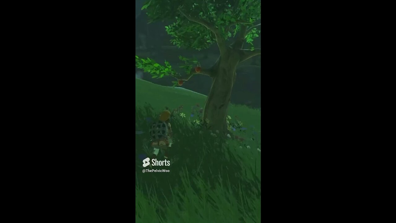 I Can Never Trust Trees Again