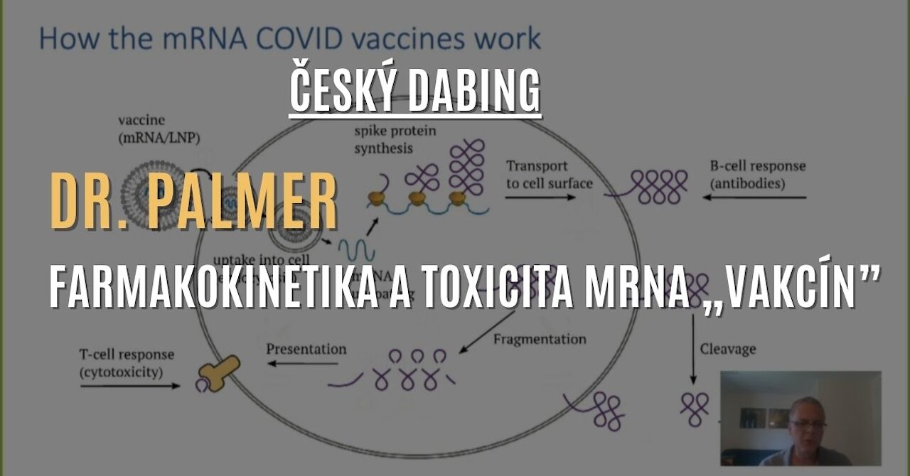 Český dabing: Dr. Michael Palmer - Farmakokinetika a toxicita mRNA „vakcín”