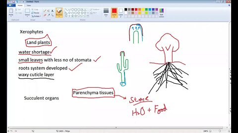 10th Class Bio Halophytes