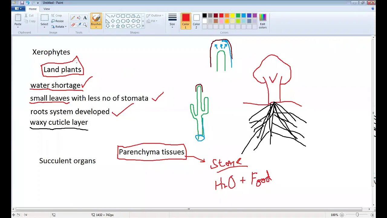 10th Class Bio Halophytes