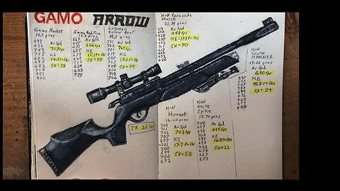 Gamo Arrow scoped; accuracy testing at 25 yards