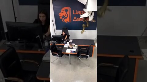 26 de março de 2022