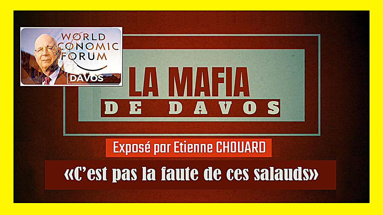 Etienne CHOUARD. La mafia du WEF agit comme la "mafia" explique t-il... (Hd 720)