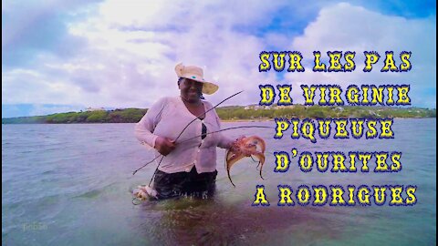 RODRIGUES: Virginie, piqueuse d'ourites