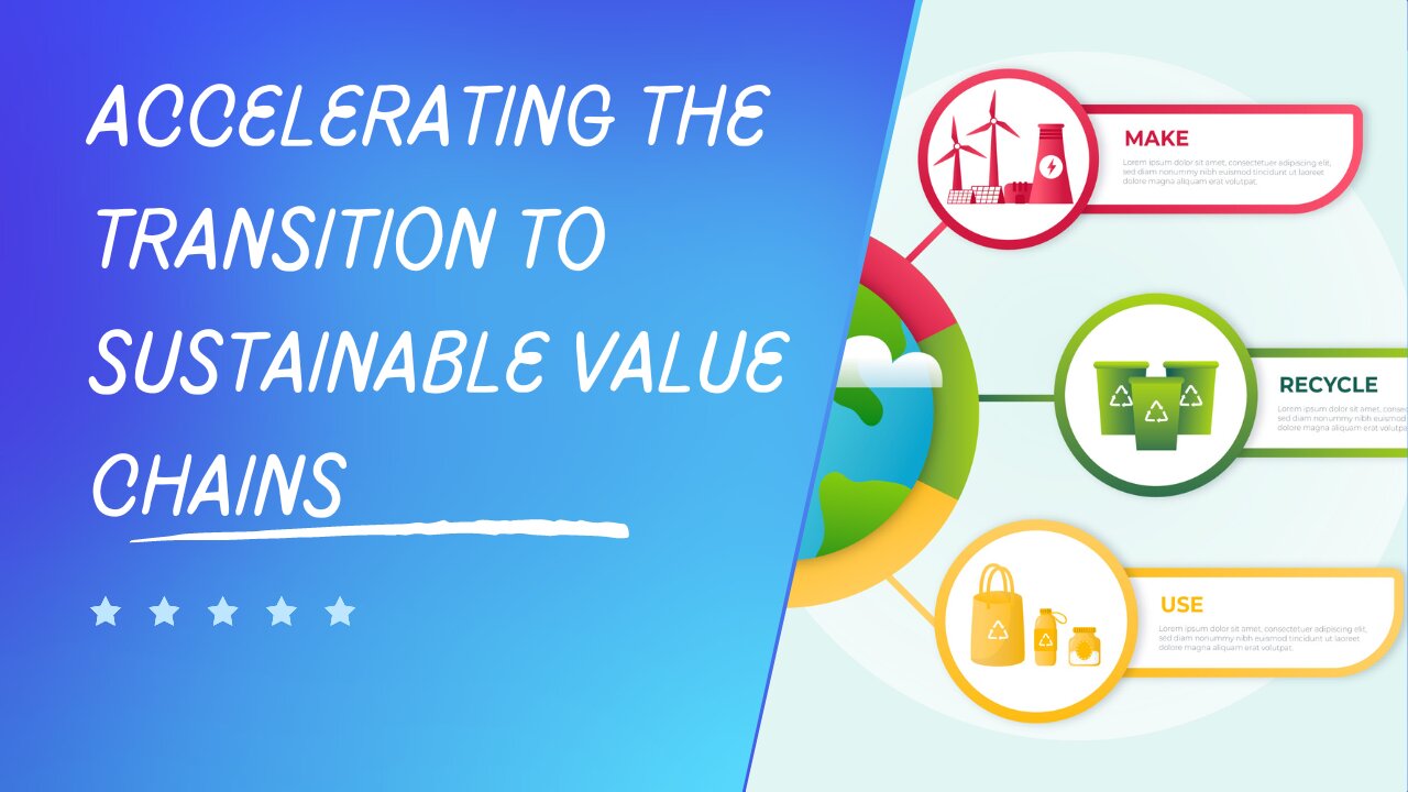 Accelerating the Transition to Sustainable Value Chains