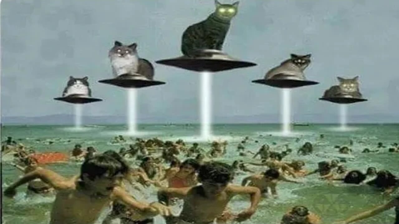 Alien Microchip / Joe Biden the Clone Alien Channeling
