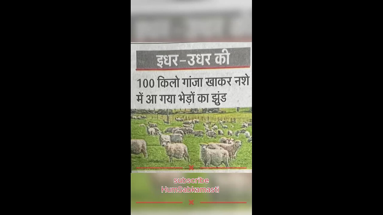 गंजेड़ी भेड़ 🤣🤣🤣🤣🤣😆😆😆