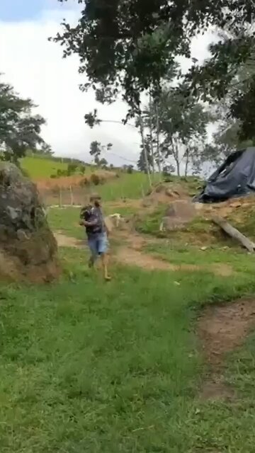 The best way to deal with an angry sheep 🐑