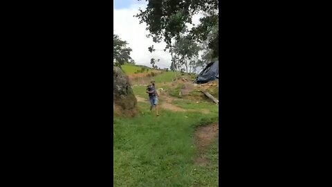 The best way to deal with an angry sheep 🐑