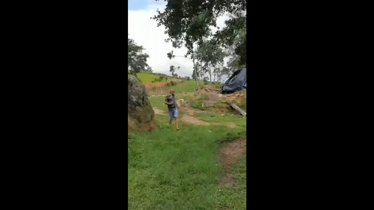 The best way to deal with an angry sheep 🐑