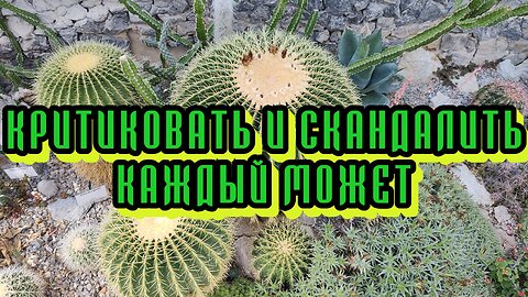 Критиковать и скандалить каждый может Ботанический сад Часть 2