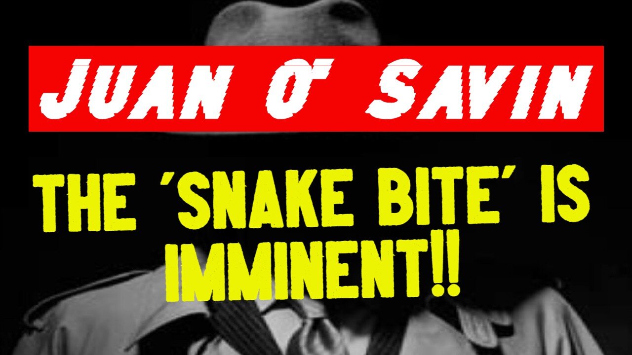 Juan O' Savin - The 'Snake Bite' Is Imminent!!