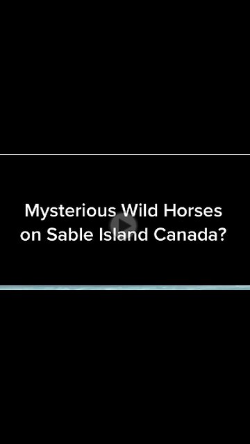 Mysterious Wild Horses on Sable Island, Canada,VIRAL,