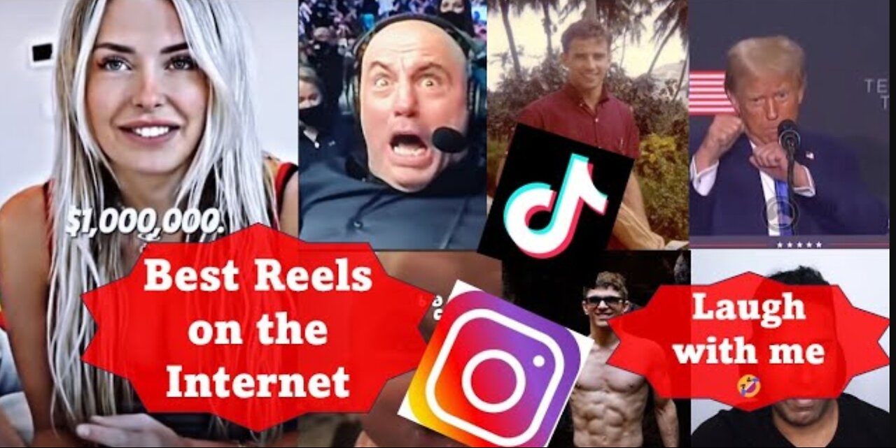 The Funniest Reels and TikToks - 2024😂🤣