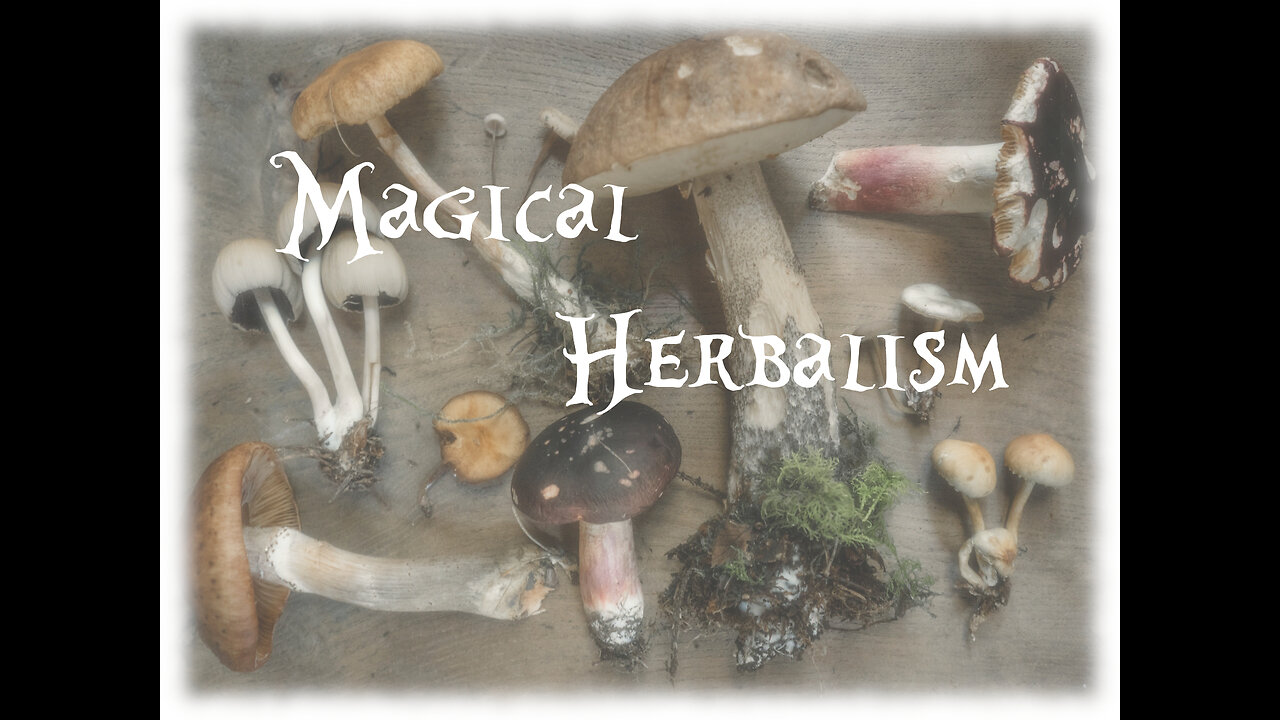 Magical Herbalism
